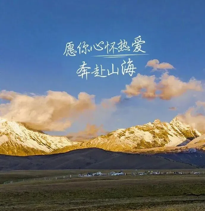 中考过后 | 不是每一片叶子都能照到阳光-第1张图片-四季读书网 中考过后 | 不是每一片叶子都能照到阳光-第1张图片-四季读书网