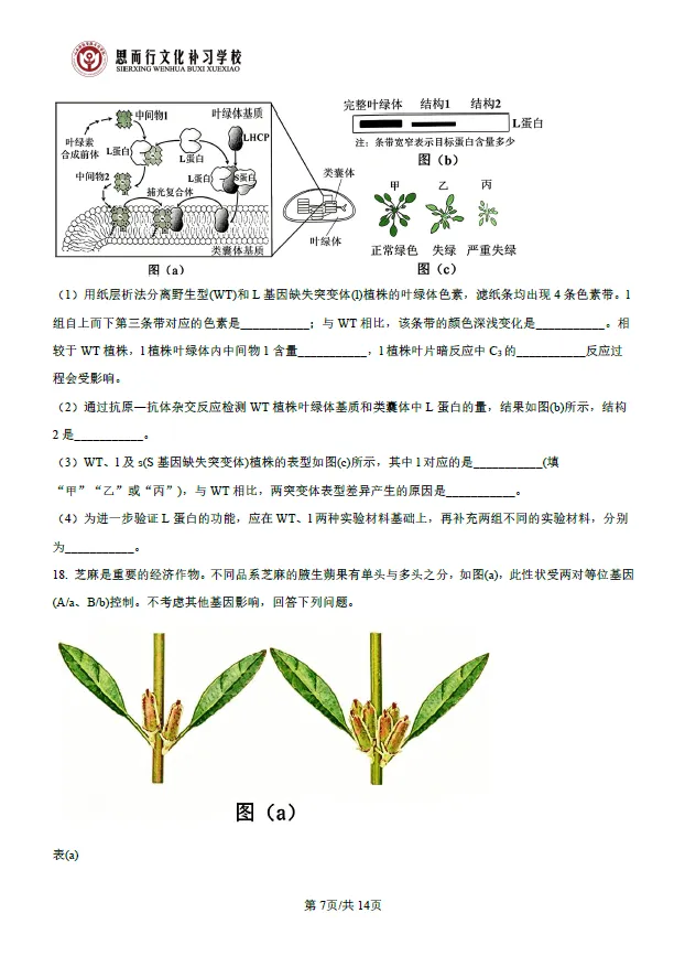 真题速递 | 2026高考生物学试题及答案-第9张图片-四季读书网