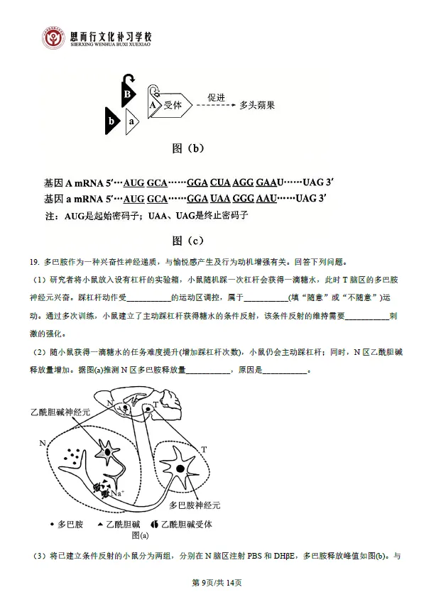 真题速递 | 2026高考生物学试题及答案-第11张图片-四季读书网
