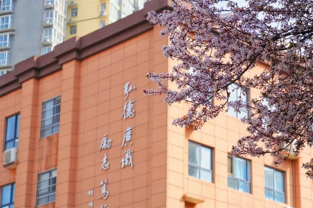 中考之后首次校园开放日!6月24日西安交大附中国际部,欢迎您来校!-第4张图片-四季读书网 中考之后首次校园开放日!6月24日西安交大附中国际部,欢迎您来校!-第4张图片-四季读书网