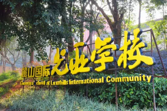 中考择校不用慌!成都30+国际院校全分类|分数/预算/赛道一次理清-第38张图片-四季读书网