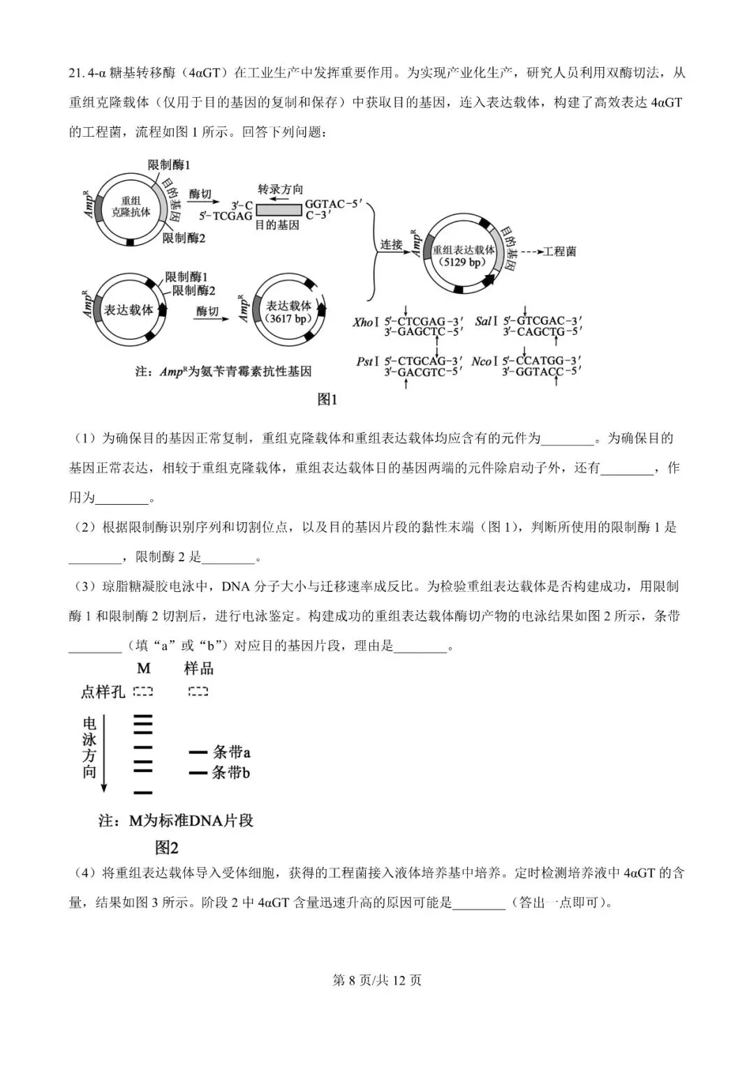 真题 | 2026年高考河南卷高考真题+答案(化学生物)-第9张图片-四季读书网 真题 | 2026年高考河南卷高考真题+答案(化学生物)-第9张图片-四季读书网