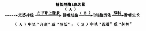 高考真题 | 2026年黑吉辽蒙四省普通高中学业水平选择性考试生物学试题-第10张图片-四季读书网