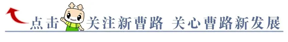 中考加油!这份考前提醒请查收→-第1张图片-四季读书网