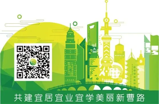 中考加油!这份考前提醒请查收→-第13张图片-四季读书网