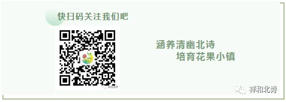 周六开考,中考加油!-第10张图片-四季读书网 周六开考,中考加油!-第10张图片-四季读书网
