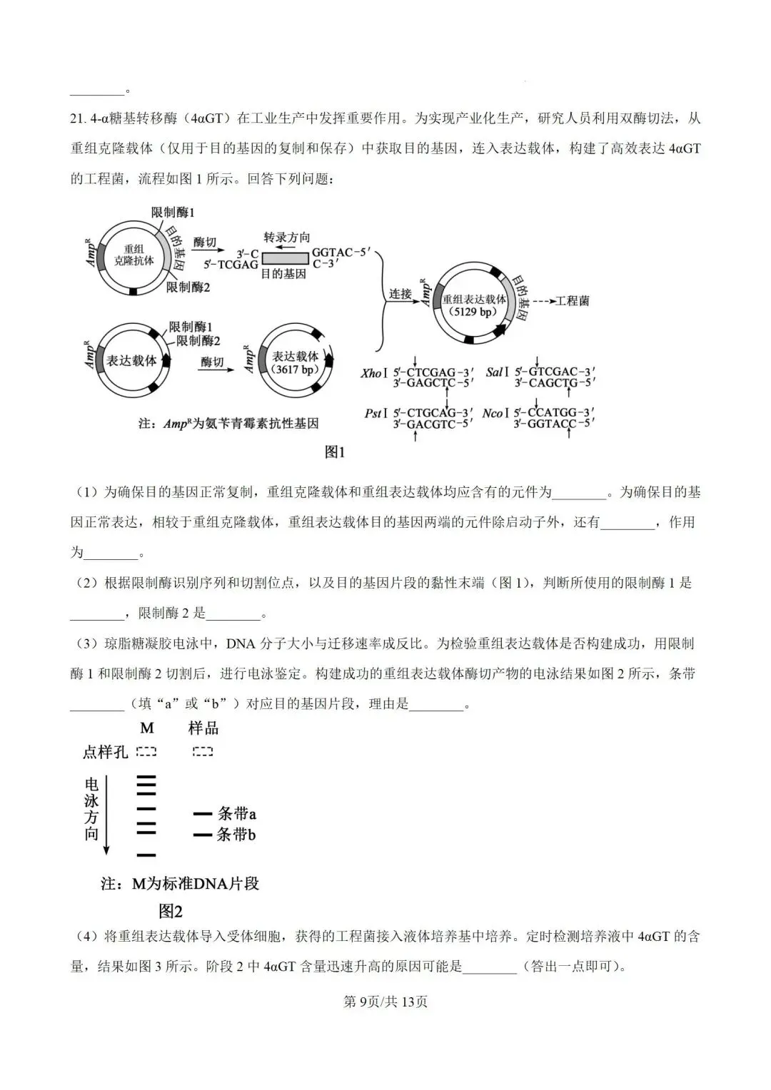 2026河南省高考生物试卷+答案-第9张图片-四季读书网