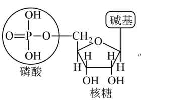 课本上的图,试卷上的题3-第4张图片-四季读书网