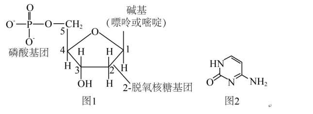 课本上的图,试卷上的题3-第6张图片-四季读书网