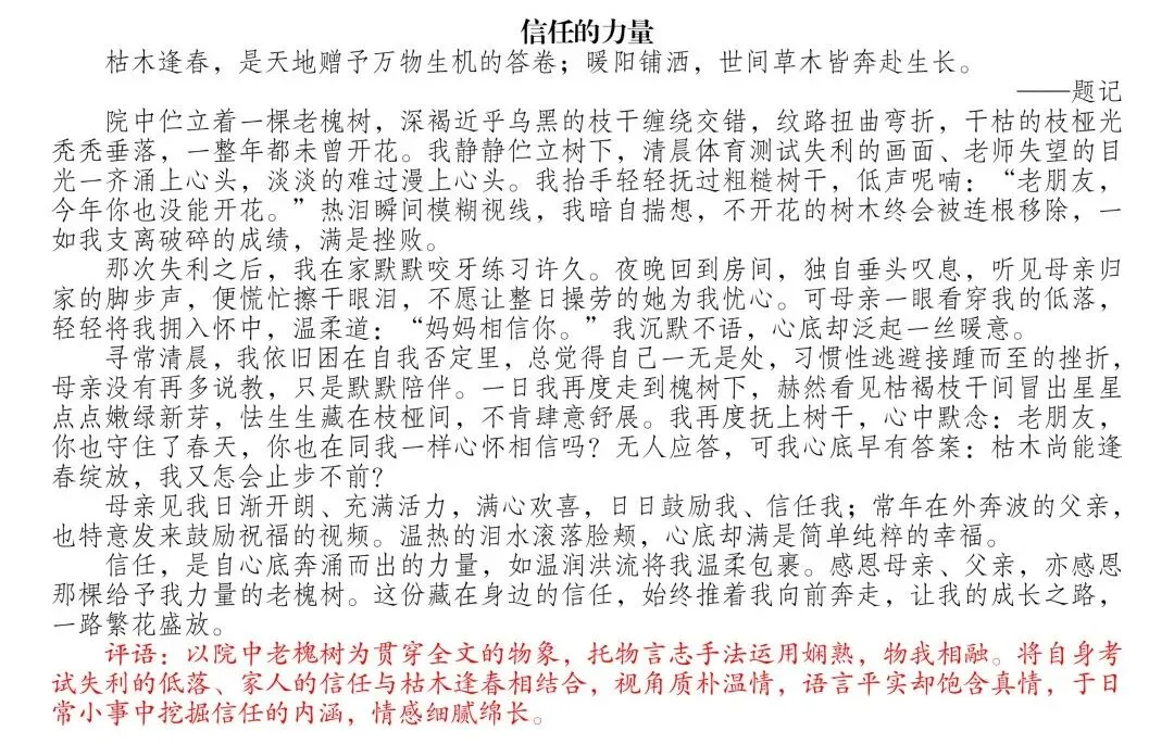 中考模拟考场佳作赏析(二)-第10张图片-四季读书网