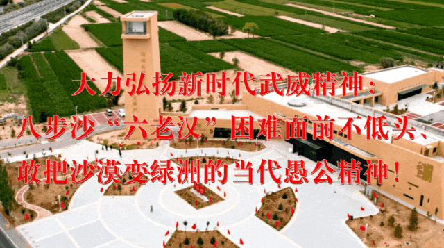 【微海报】中考“安全锦囊”请收好-第2张图片-四季读书网 【微海报】中考“安全锦囊”请收好-第2张图片-四季读书网