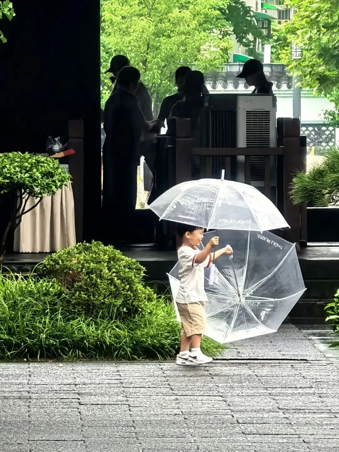 写在中考来临前-第1张图片-四季读书网 写在中考来临前-第1张图片-四季读书网
