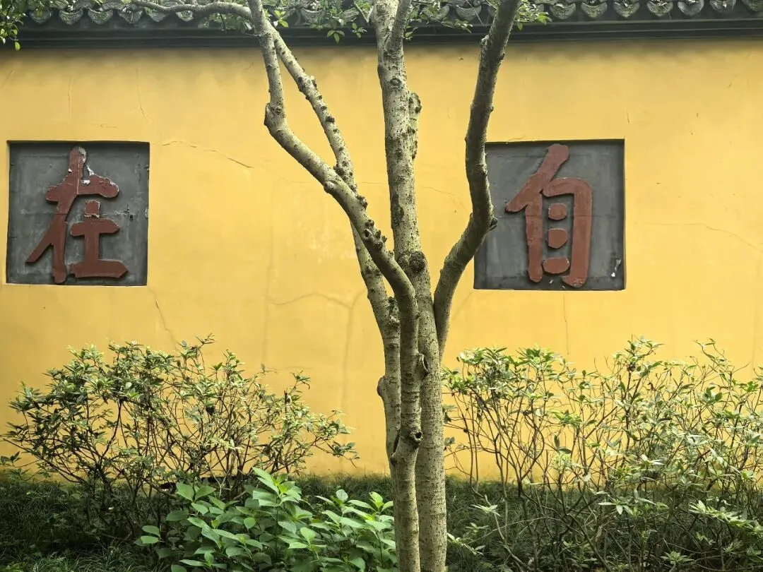 写在中考来临前-第5张图片-四季读书网 写在中考来临前-第5张图片-四季读书网