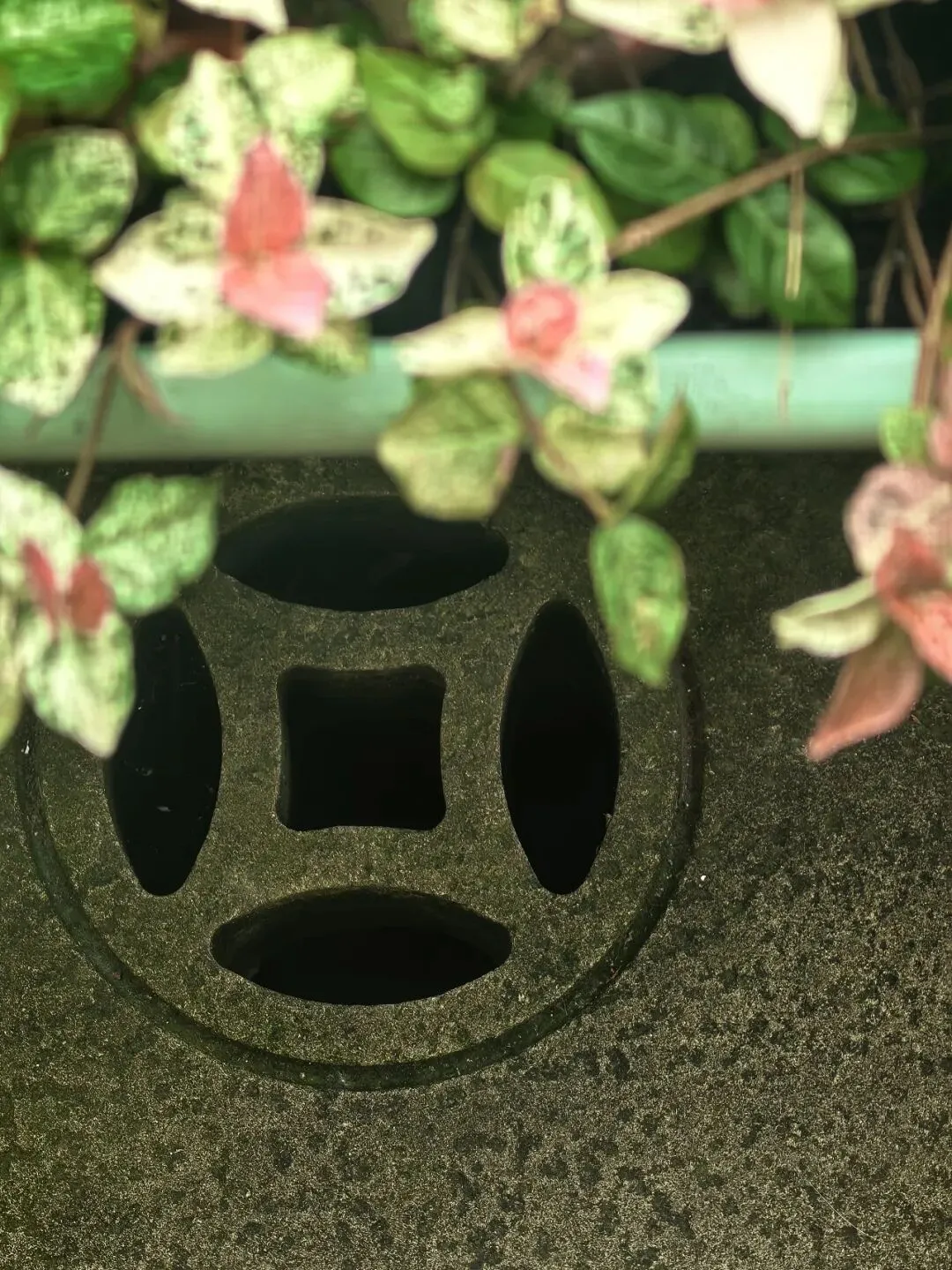 写在中考来临前-第6张图片-四季读书网 写在中考来临前-第6张图片-四季读书网