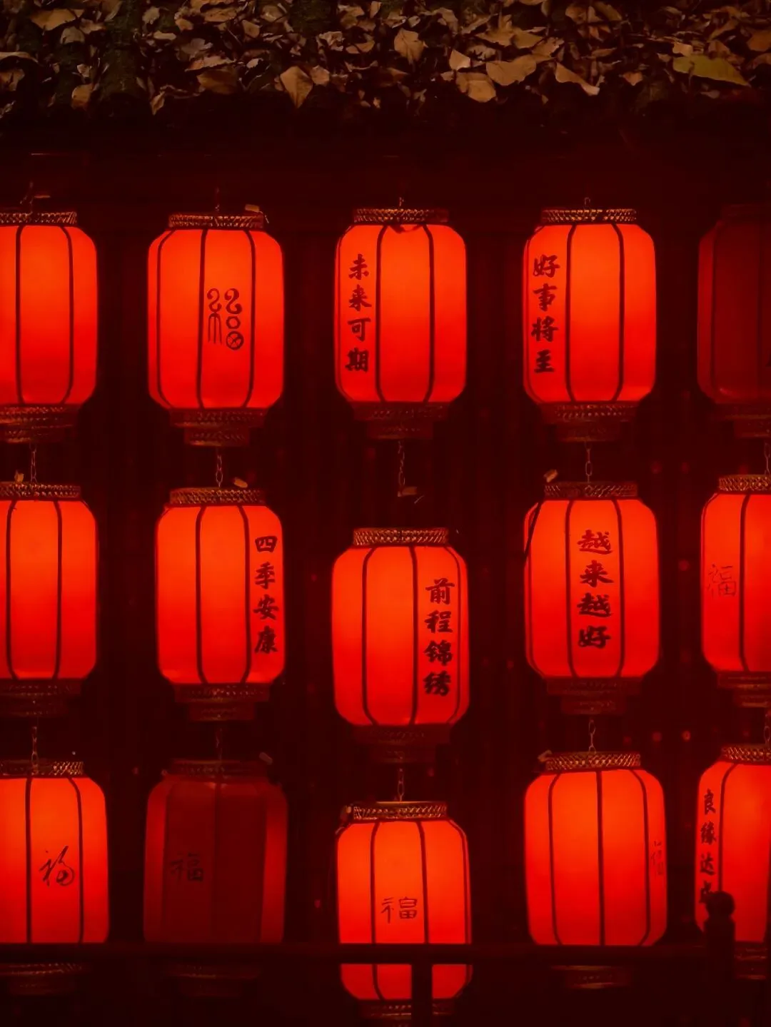 写在中考来临前-第7张图片-四季读书网 写在中考来临前-第7张图片-四季读书网