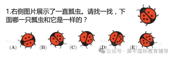 2026年袋鼠数学LevelA-B真题领取免费领取!-第1张图片-四季读书网 2026年袋鼠数学LevelA-B真题领取免费领取!-第1张图片-四季读书网