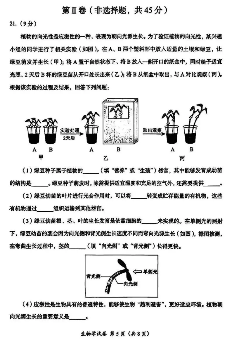 真题速递:2026四川成都生物中考试卷+参考答案 有word文档-第6张图片-四季读书网 真题速递:2026四川成都生物中考试卷+参考答案 有word文档-第6张图片-四季读书网