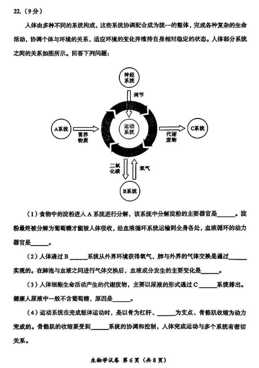 真题速递:2026四川成都生物中考试卷+参考答案 有word文档-第7张图片-四季读书网 真题速递:2026四川成都生物中考试卷+参考答案 有word文档-第7张图片-四季读书网