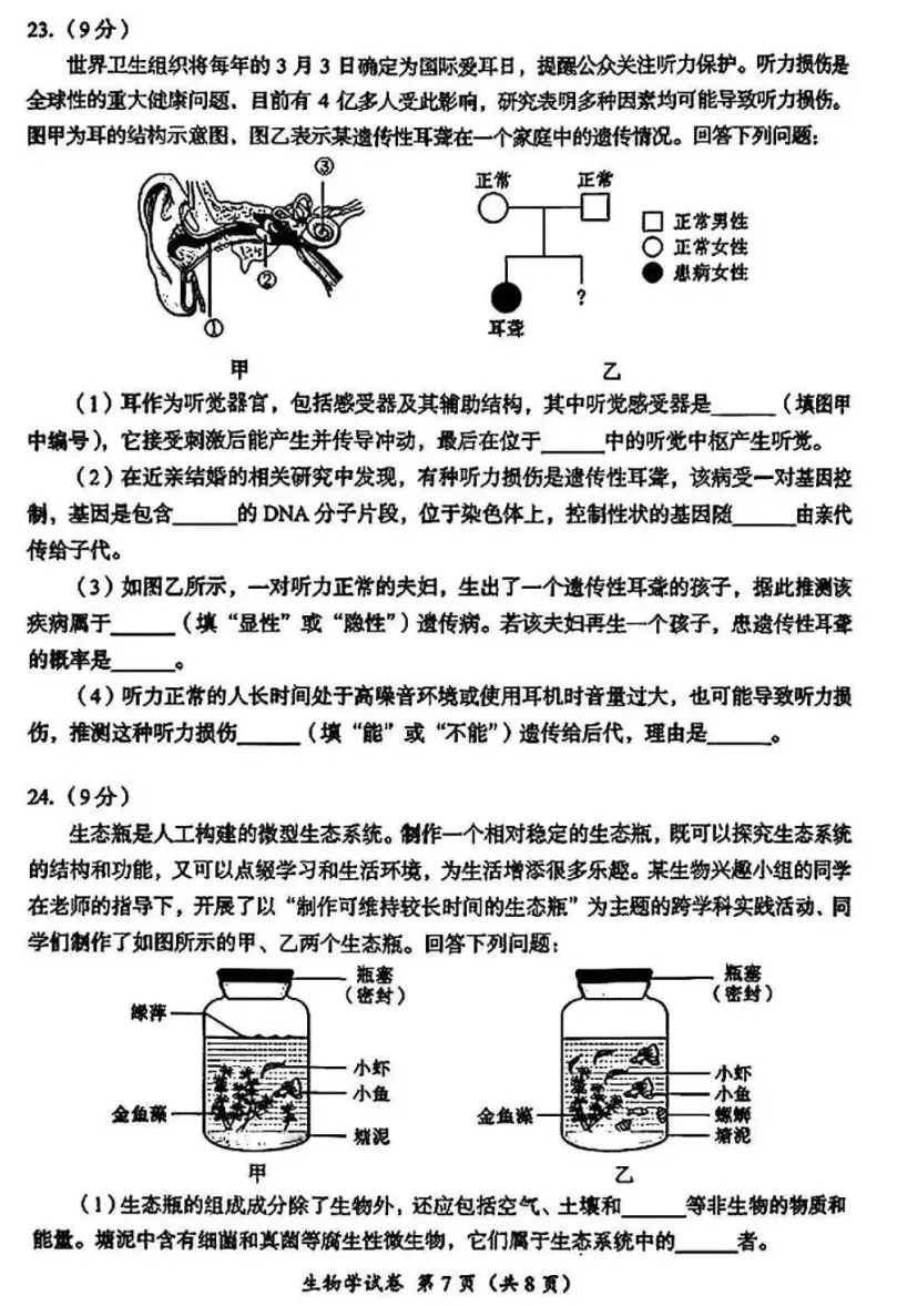 真题速递:2026四川成都生物中考试卷+参考答案 有word文档-第8张图片-四季读书网 真题速递:2026四川成都生物中考试卷+参考答案 有word文档-第8张图片-四季读书网