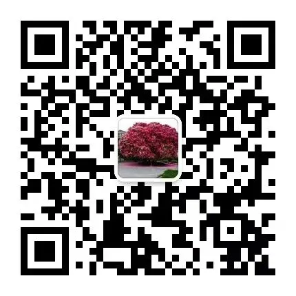 中考加油|二刷中考卷依然旧错重犯?这场挫败,才是孩子最好的成长课-第7张图片-四季读书网