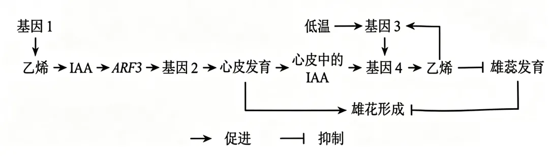 真题+答案+详解+知识点溯源:2026高考云南卷(附:下载链接)-第1张图片-四季读书网
