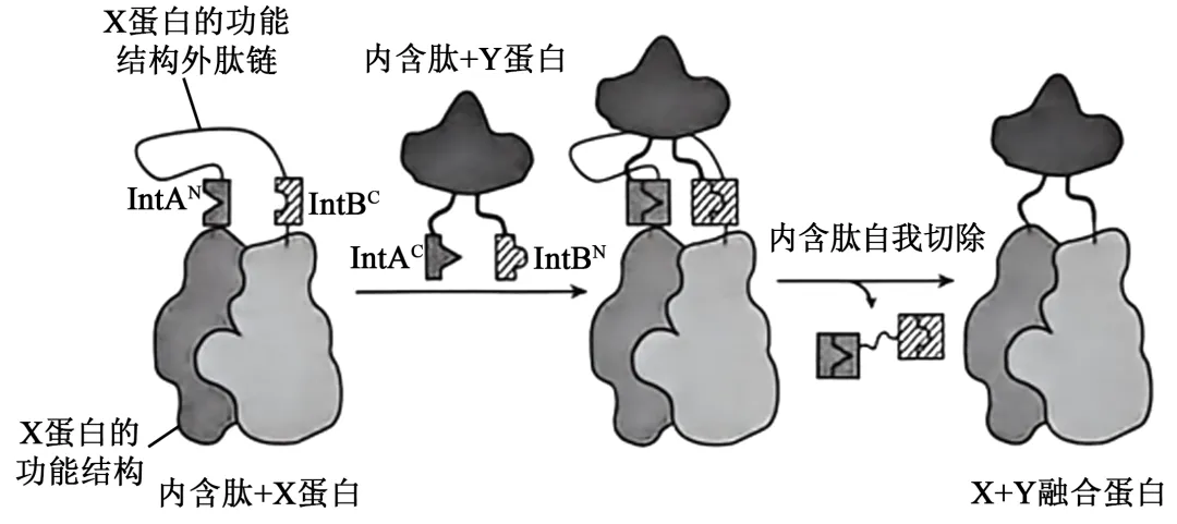 真题+答案+详解+知识点溯源:2026高考云南卷(附:下载链接)-第2张图片-四季读书网