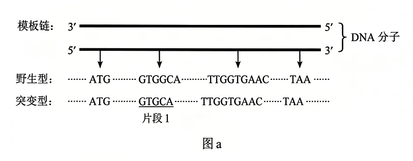真题+答案+详解+知识点溯源:2026高考云南卷(附:下载链接)-第3张图片-四季读书网