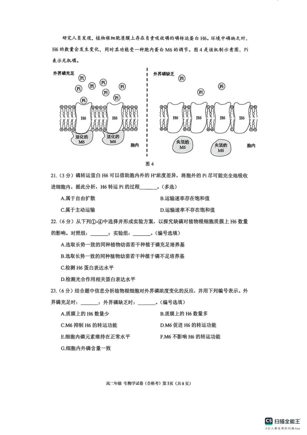 【SH高中四校八大试卷群更新】上海市格致中学2025-2026学年高二下学期期末考试生物(合格考)-第5张图片-四季读书网