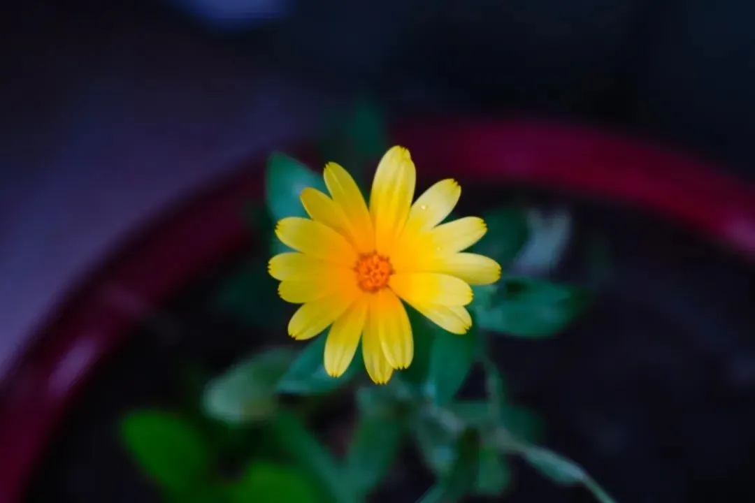 经典全书:《扣下高考试卷押送车后,辅警悔疯了》最新章节阅读-第6张图片-四季读书网 经典全书:《扣下高考试卷押送车后,辅警悔疯了》最新章节阅读-第6张图片-四季读书网