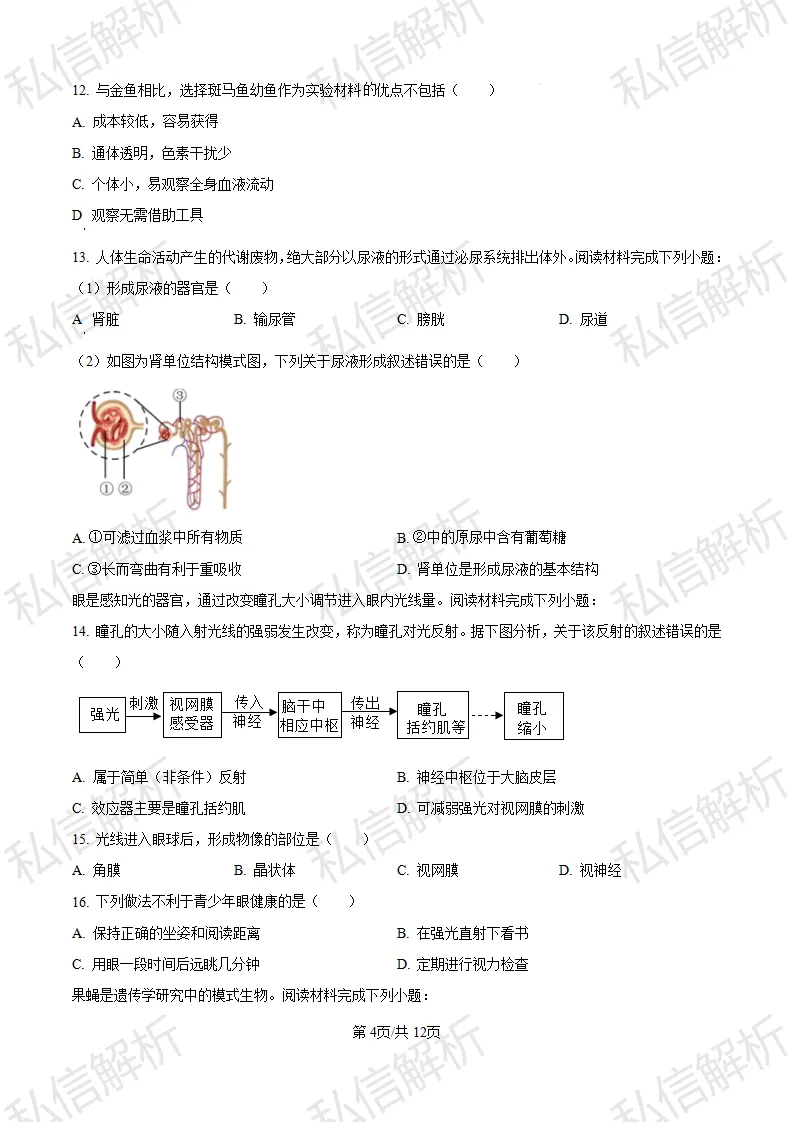 参考试卷--2024北京市丰台区初中生物中考真题-第4张图片-四季读书网