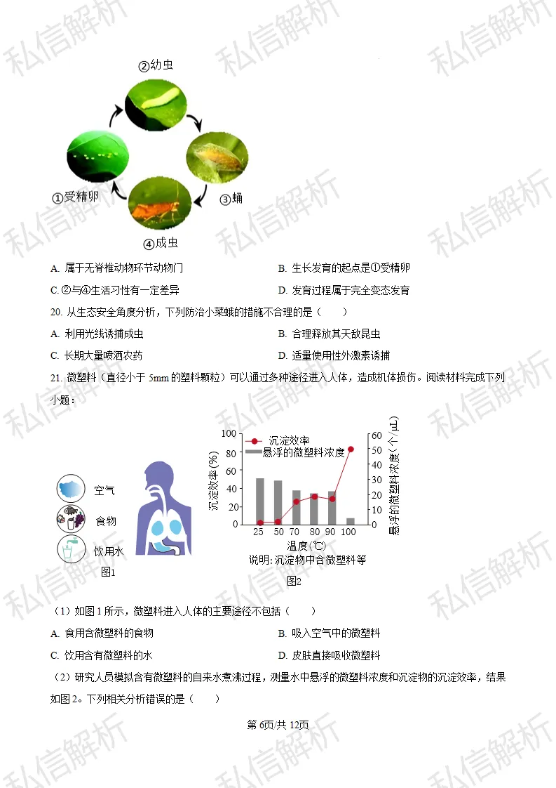 参考试卷--2024北京市丰台区初中生物中考真题-第6张图片-四季读书网