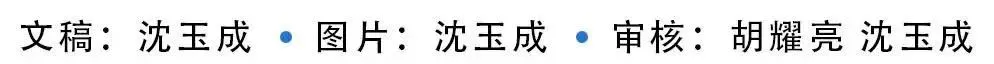 【中考送考】中考送考老师:以爱相伴,为学子护航-第19张图片-四季读书网