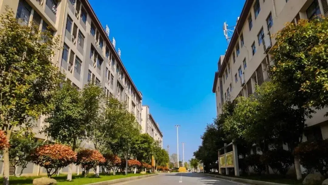 中考加油,静待少年凯歌旋——丰城厚一学校为初三学子中考壮行!-第23张图片-四季读书网