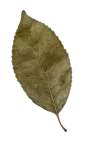 新传考研|真题怎么用?知识点如何高效背诵?直白干货分享-第4张图片-四季读书网 新传考研|真题怎么用?知识点如何高效背诵?直白干货分享-第4张图片-四季读书网