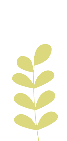 心有繁花 笔有乾坤丨嘉泽镇2026年中考护航指南-第7张图片-四季读书网 心有繁花 笔有乾坤丨嘉泽镇2026年中考护航指南-第7张图片-四季读书网