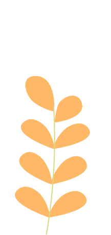 心有繁花 笔有乾坤丨嘉泽镇2026年中考护航指南-第14张图片-四季读书网 心有繁花 笔有乾坤丨嘉泽镇2026年中考护航指南-第14张图片-四季读书网