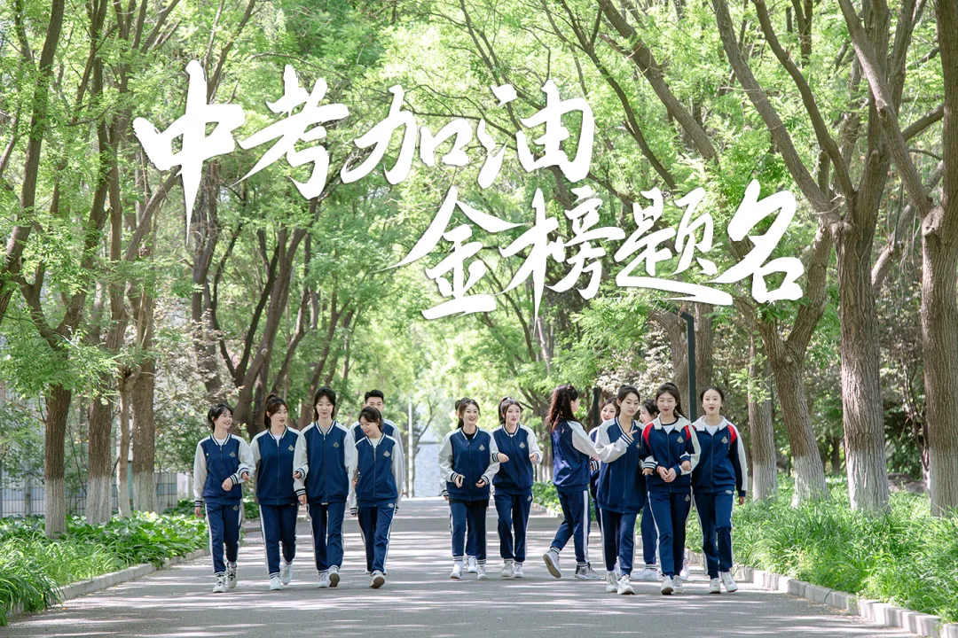 中考倒计时| 愿少年的你,笔下生花,未来有光!-第13张图片-四季读书网