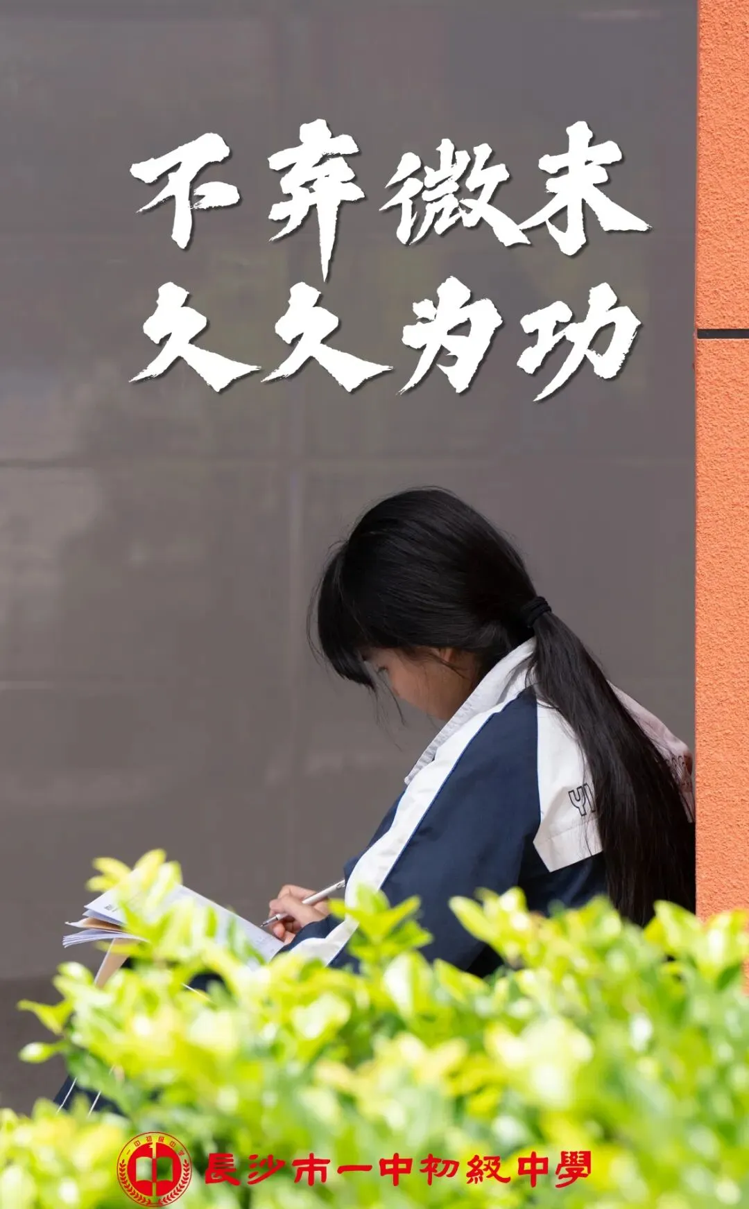 中考特辑丨以笔为翼,筑梦苍穹-第6张图片-四季读书网 中考特辑丨以笔为翼,筑梦苍穹-第6张图片-四季读书网