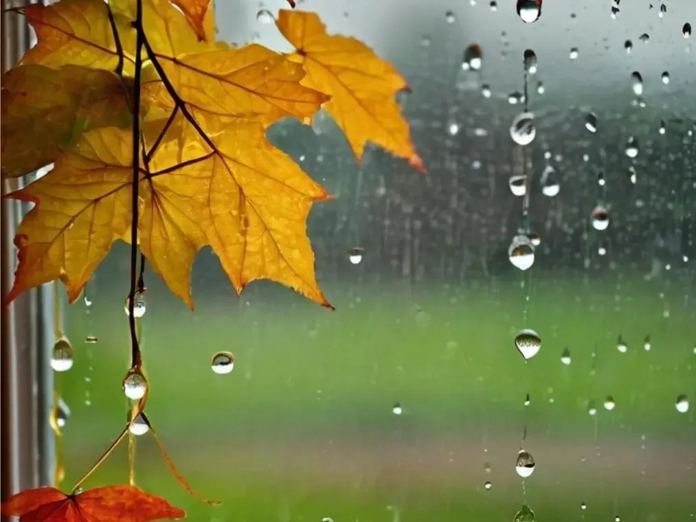 18-22日有强降雨,中考和端午出行注意安全!-第2张图片-四季读书网 18-22日有强降雨,中考和端午出行注意安全!-第2张图片-四季读书网