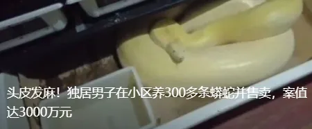 中考成绩预计于7月5日发布,如何填报志愿?来这个直播间满满都是干货!-第7张图片-四季读书网 中考成绩预计于7月5日发布,如何填报志愿?来这个直播间满满都是干货!-第7张图片-四季读书网
