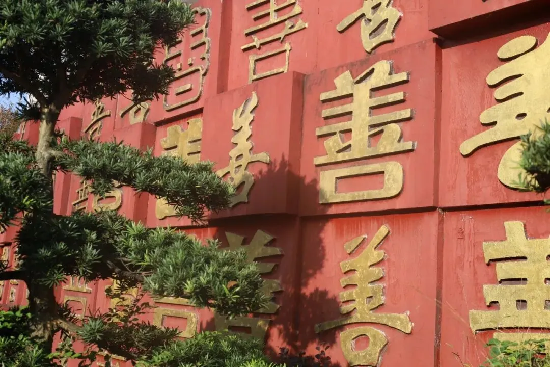 绥阳县思源实验学校端午节放假及中考期间安全告家长书-第7张图片-四季读书网 绥阳县思源实验学校端午节放假及中考期间安全告家长书-第7张图片-四季读书网
