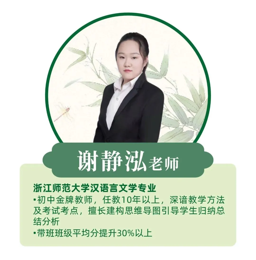 桐知语文暑期提优|2026中考作文初中组教师下水文示范展示-第5张图片-四季读书网