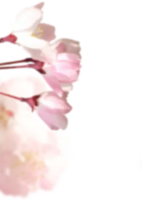 中考期间,河间这些路段将实施临时交通管制-第11张图片-四季读书网 中考期间,河间这些路段将实施临时交通管制-第11张图片-四季读书网