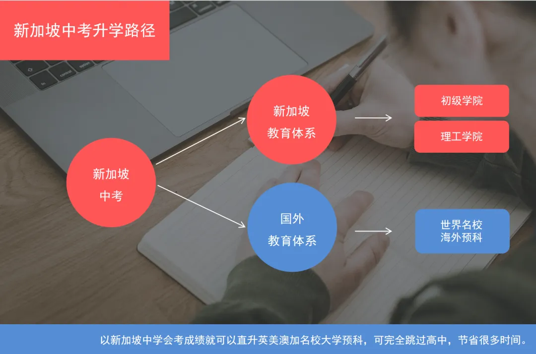 2026中考落幕|不必困在分数里,少年的未来本该四通八达-第15张图片-四季读书网 2026中考落幕|不必困在分数里,少年的未来本该四通八达-第15张图片-四季读书网