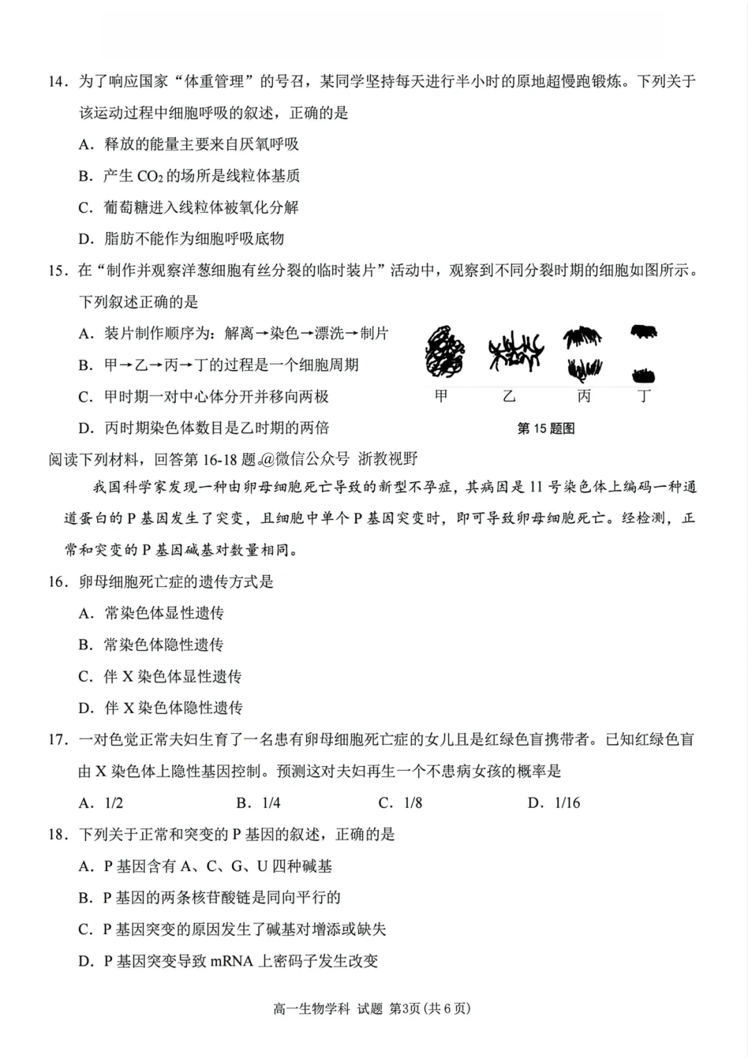 学考模拟|浙江省桐浦富兴教研联盟2026年6月学业水平模拟考试高一试题及答案(内含下载链接)-第31张图片-四季读书网 学考模拟|浙江省桐浦富兴教研联盟2026年6月学业水平模拟考试高一试题及答案(内含下载链接)-第31张图片-四季读书网
