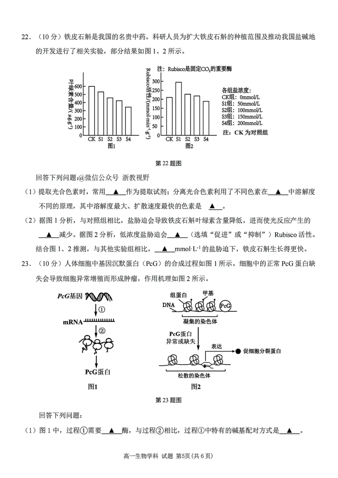 学考模拟|浙江省桐浦富兴教研联盟2026年6月学业水平模拟考试高一试题及答案(内含下载链接)-第33张图片-四季读书网 学考模拟|浙江省桐浦富兴教研联盟2026年6月学业水平模拟考试高一试题及答案(内含下载链接)-第33张图片-四季读书网