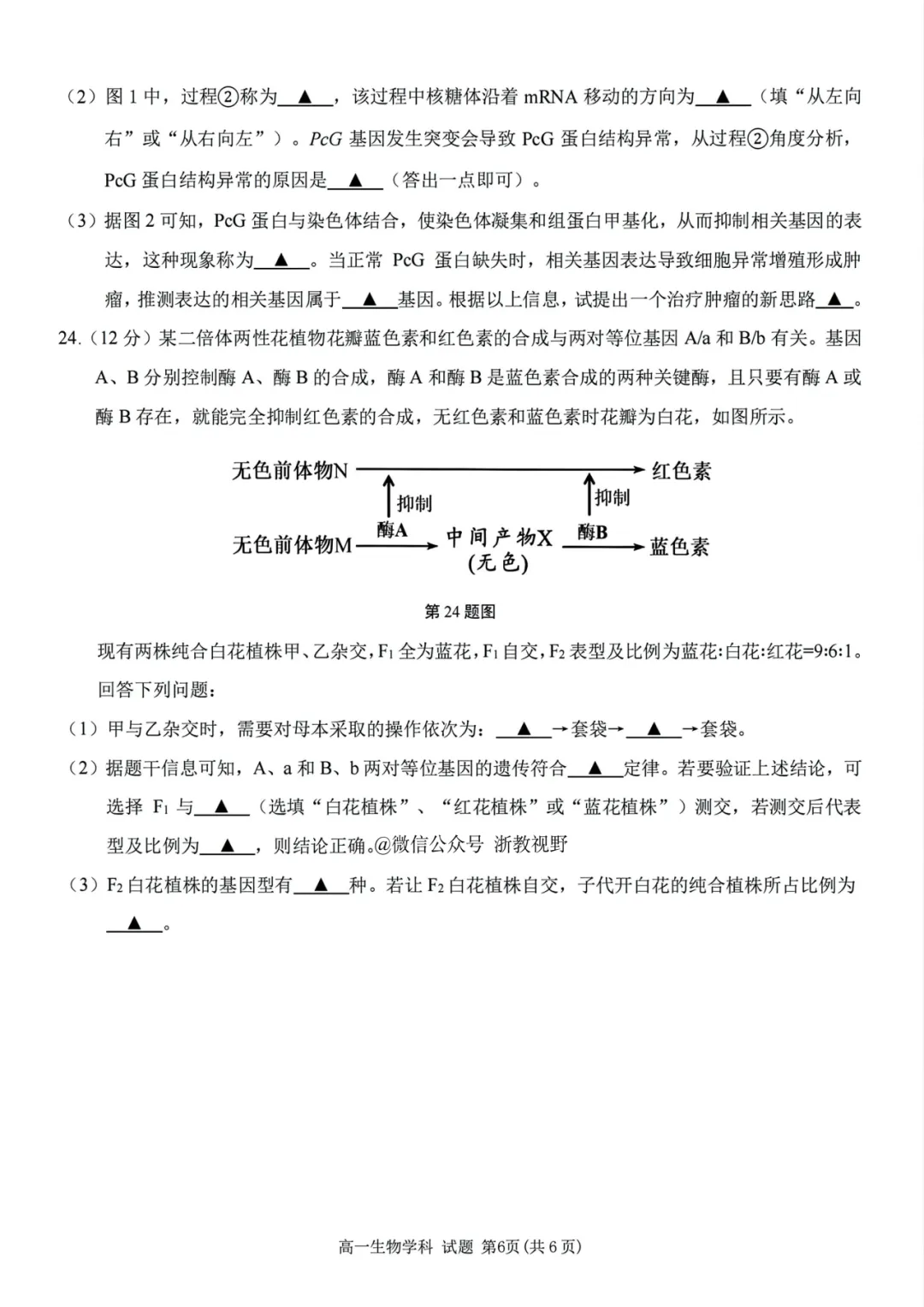 学考模拟|浙江省桐浦富兴教研联盟2026年6月学业水平模拟考试高一试题及答案(内含下载链接)-第34张图片-四季读书网 学考模拟|浙江省桐浦富兴教研联盟2026年6月学业水平模拟考试高一试题及答案(内含下载链接)-第34张图片-四季读书网