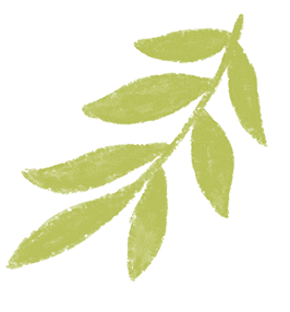 中考将至 安全先行——龙山学校考前温馨提示-第13张图片-四季读书网 中考将至 安全先行——龙山学校考前温馨提示-第13张图片-四季读书网