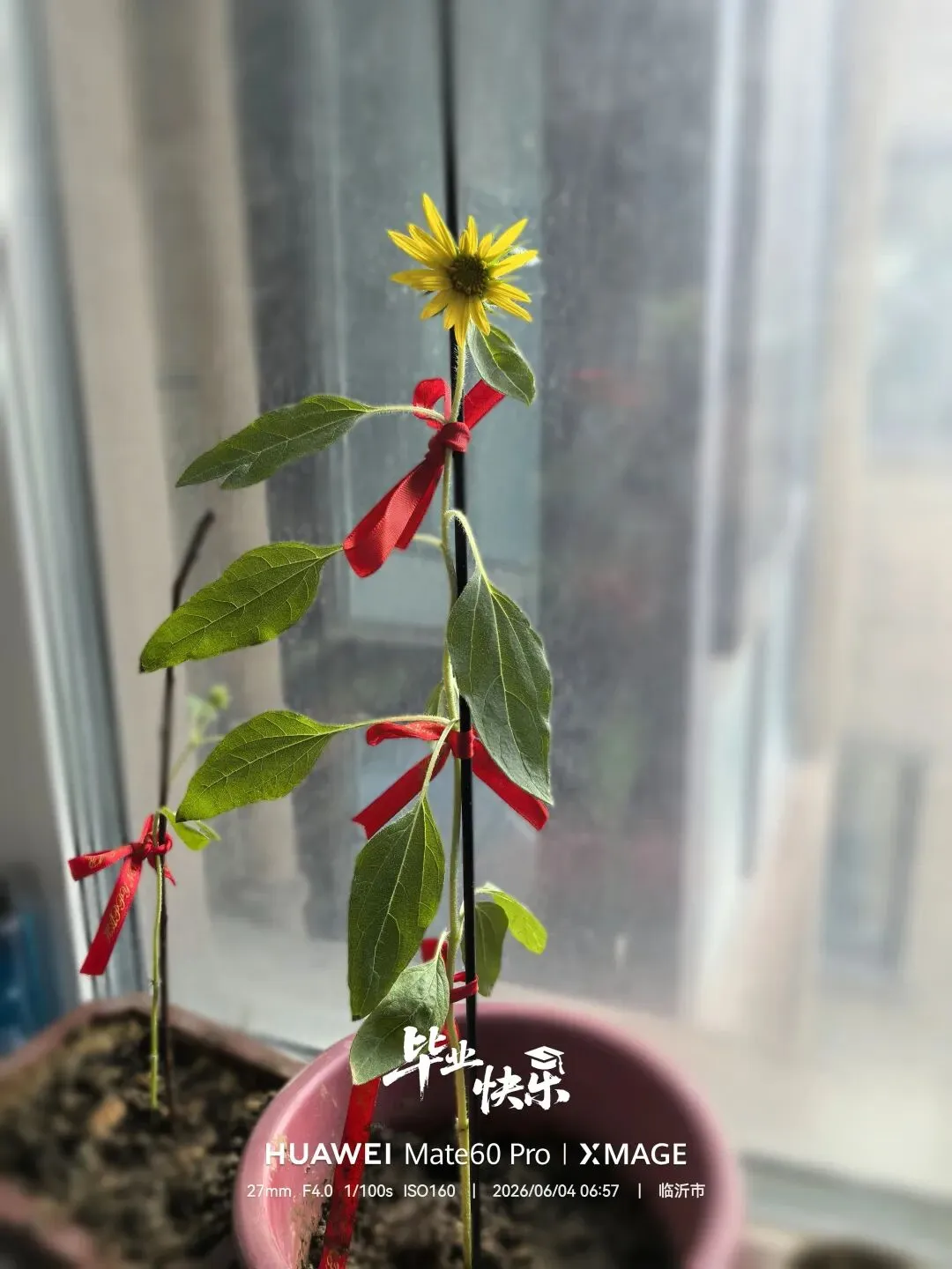 中考当天 择校完毕-第1张图片-四季读书网