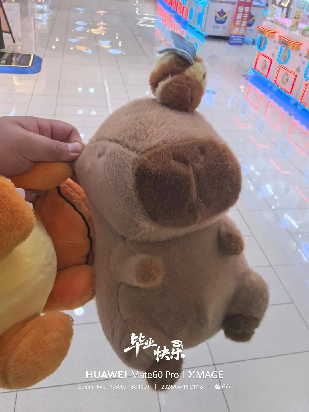 中考当天 择校完毕-第20张图片-四季读书网